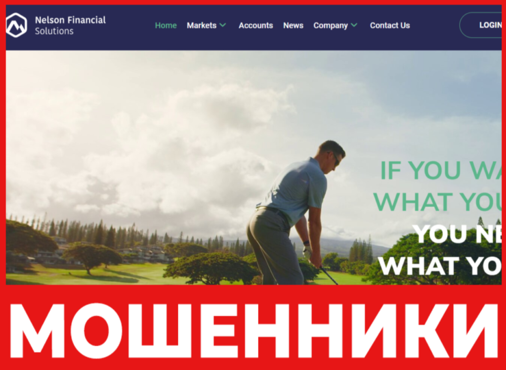 Nelson Financial Solutions лицевая сторона скрин