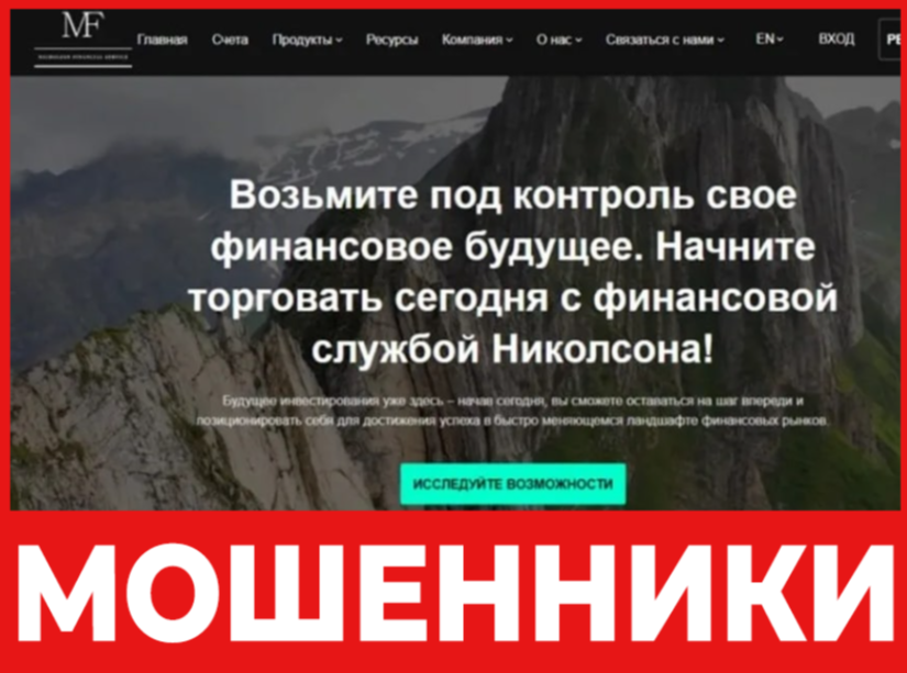 Nicholson Financial Service лицевая сторона скрин