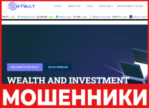 Skyvault лицевая сторона скрин