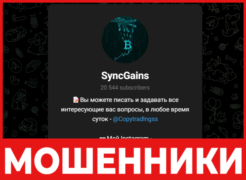SyncGains лицевая сторона скрин