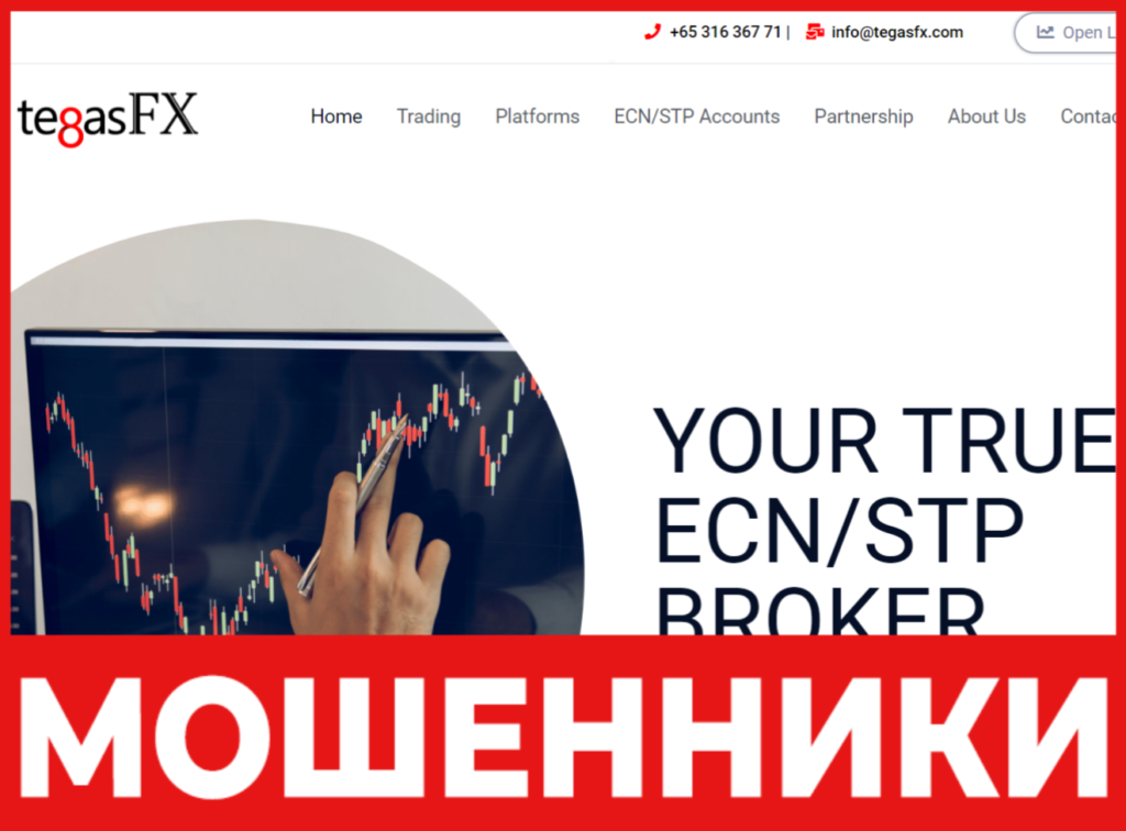 TegasFX лицевая сторона скрин