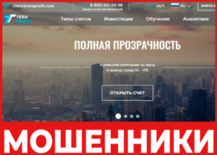 Tera Profit лицевая сторона скрин