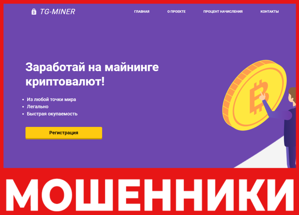 TG Miner лицевая сторона скрин