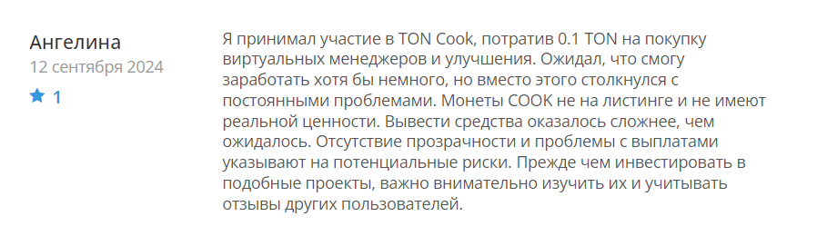 TON Cook_1 скрин