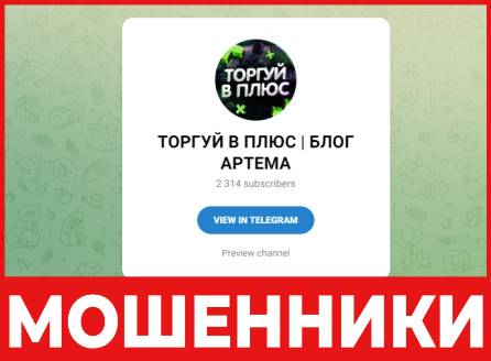 ТОРГУЙ В ПЛЮС БЛОГ АРТЕМА лицевая сторона скрин