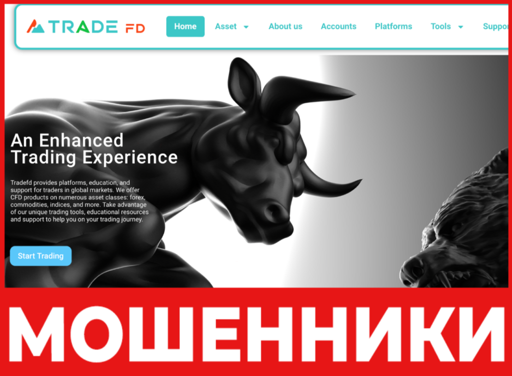 Trade FD лицевая сторона скрин