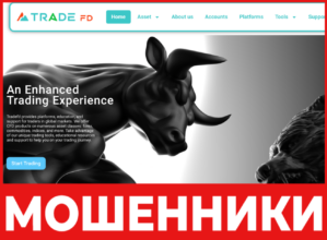 Trade FD лицевая сторона скрин