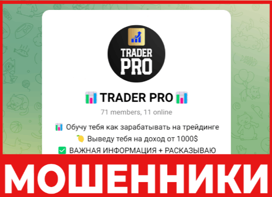 Trader Pro лицевая сторона скрин