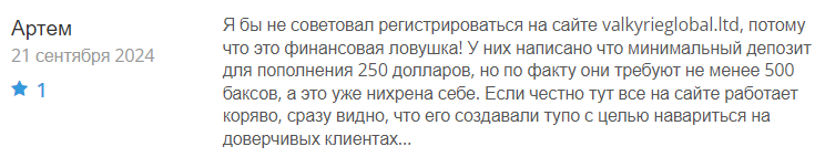 Valkyrie Global LTD 1 скрин