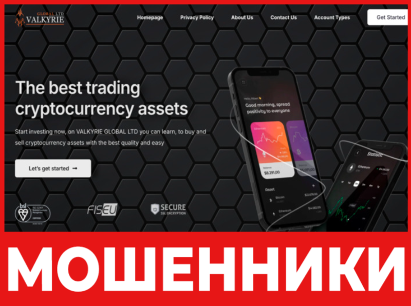 Valkyrie Global LTD лицевая сторона скрин