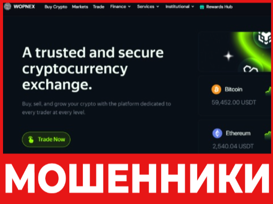 Wopnex лицевая сторона скрин