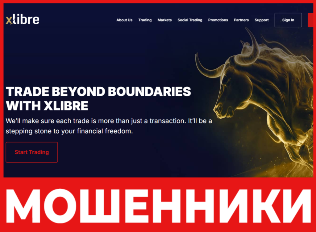 XLibre лицевая сторона скрин