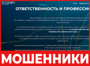 2 Ocean Capital лицевая сторона скрин