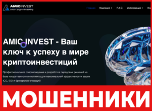 Amic Invest лицевая сторона скрин