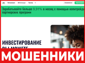BitBaxter лицевая сторона скрин