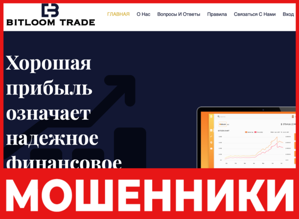 Bitloom Trade лицевая сторона скрин
