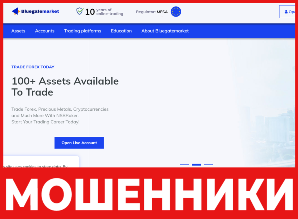 Bluegatemarket лицевая сторона скрин