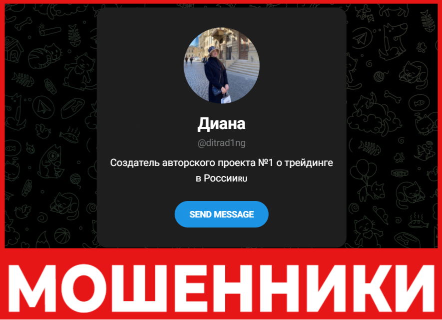 Диана лицевая сторона скрин