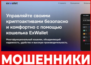 ExWallet лицевая сторона скрин