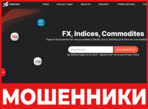 Fly Investing лицевая сторона скрин