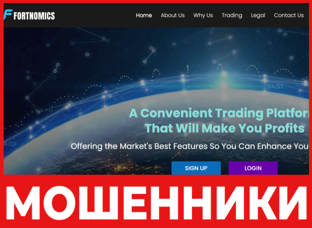 Fortnomics лицевая сторона скрин