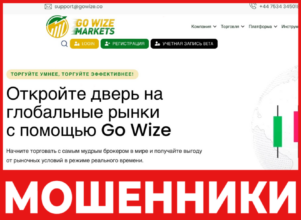 Go Wize Markets лицевая сторона скрин