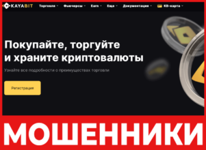 Kayabit лицевая сторона скрин