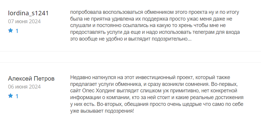 Opes Holding_1 скрин