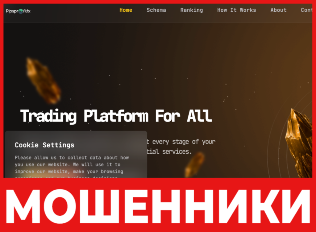 Pipsprofit FX лицевая сторона скрин