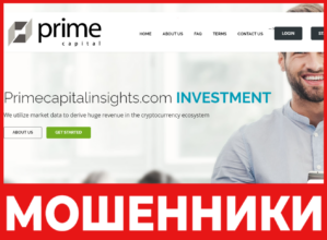 Prime Capital Insights лицевая сторона скрин