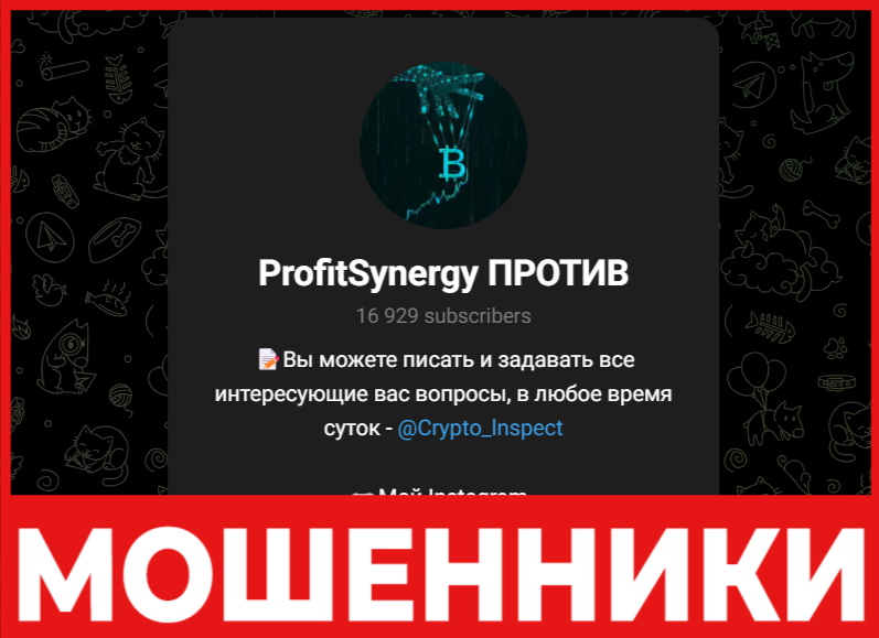 ProfitSynergy лицевая сторона скрин