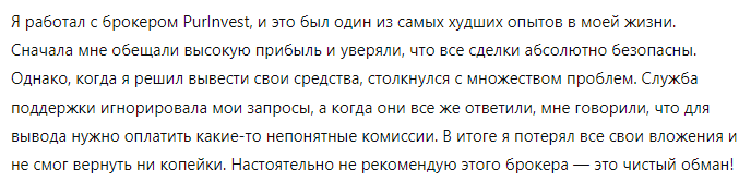 ПурИнвест 1 скрин