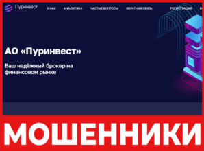 ПурИнвест лицевая сторона скрин