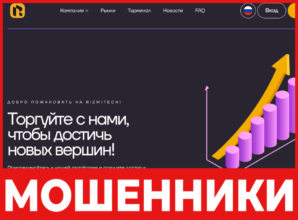 Rizmitech лицевая сторона скрин