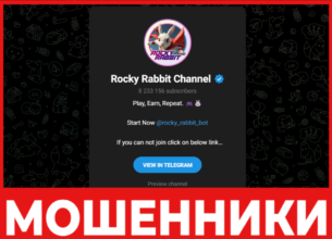 Rocky Rabbit лицевая сторона скрин