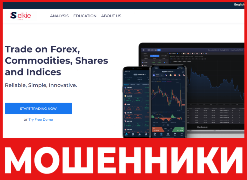 Selkie Capital лицевая сторона скрин