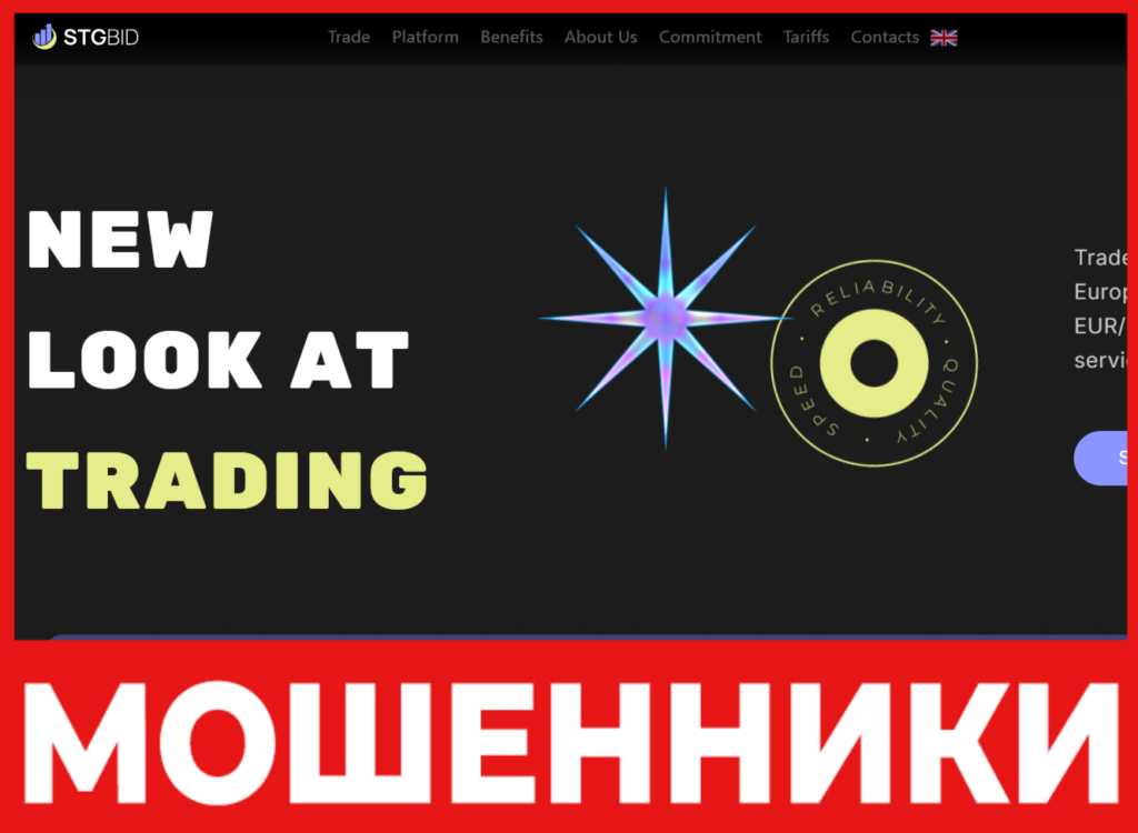 STG Bid лицевая сторона скрин
