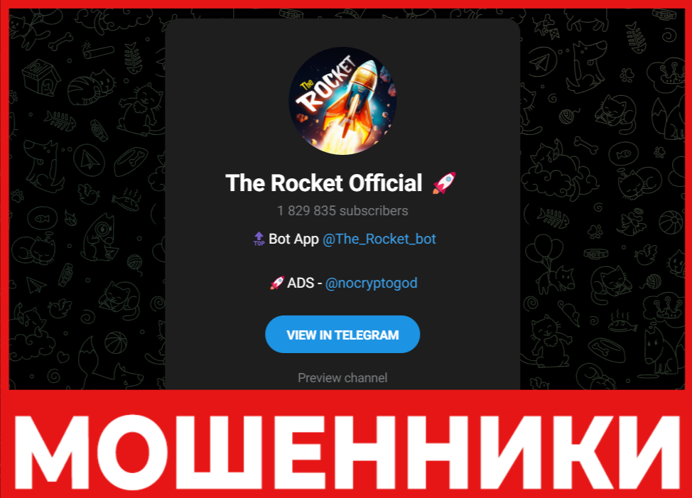 THE ROCKET лицевая сторона скрин