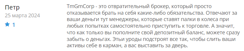 TmGmCorp 1 скрин