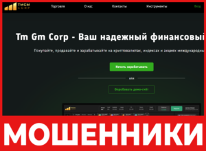 TmGmCorp лицевая сторона скрин
