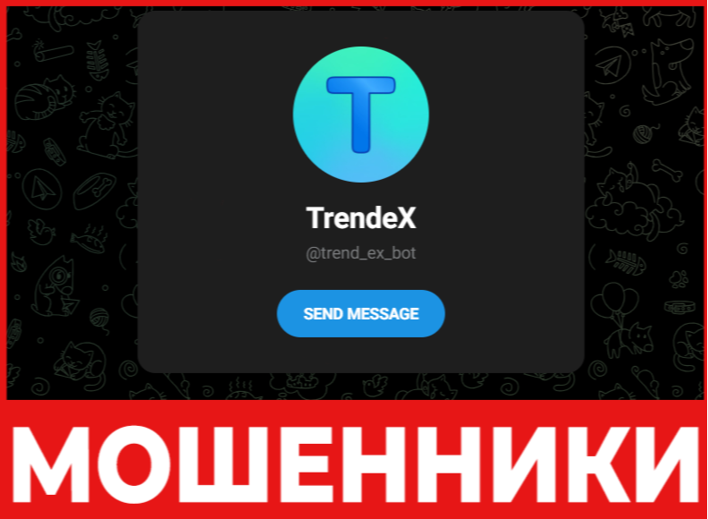 Trend Ex лицевая сторона скрин