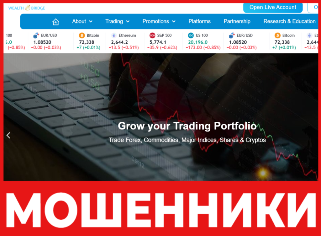 Wealthnest Bridge лицевая сторона скрин