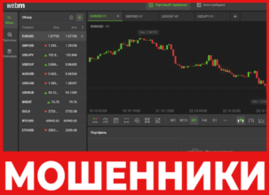 Webmeta лицевая сторона скрин
