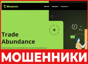 Wexmic лицевая сторона скрин