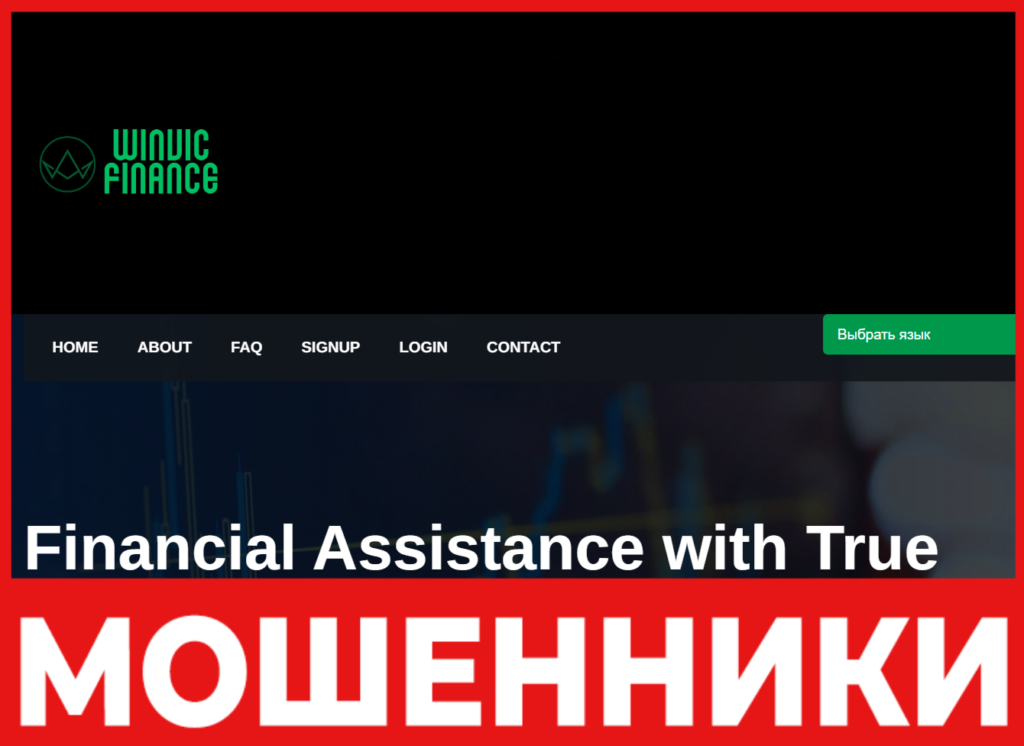 Winvic Finance лицевая сторона скрин