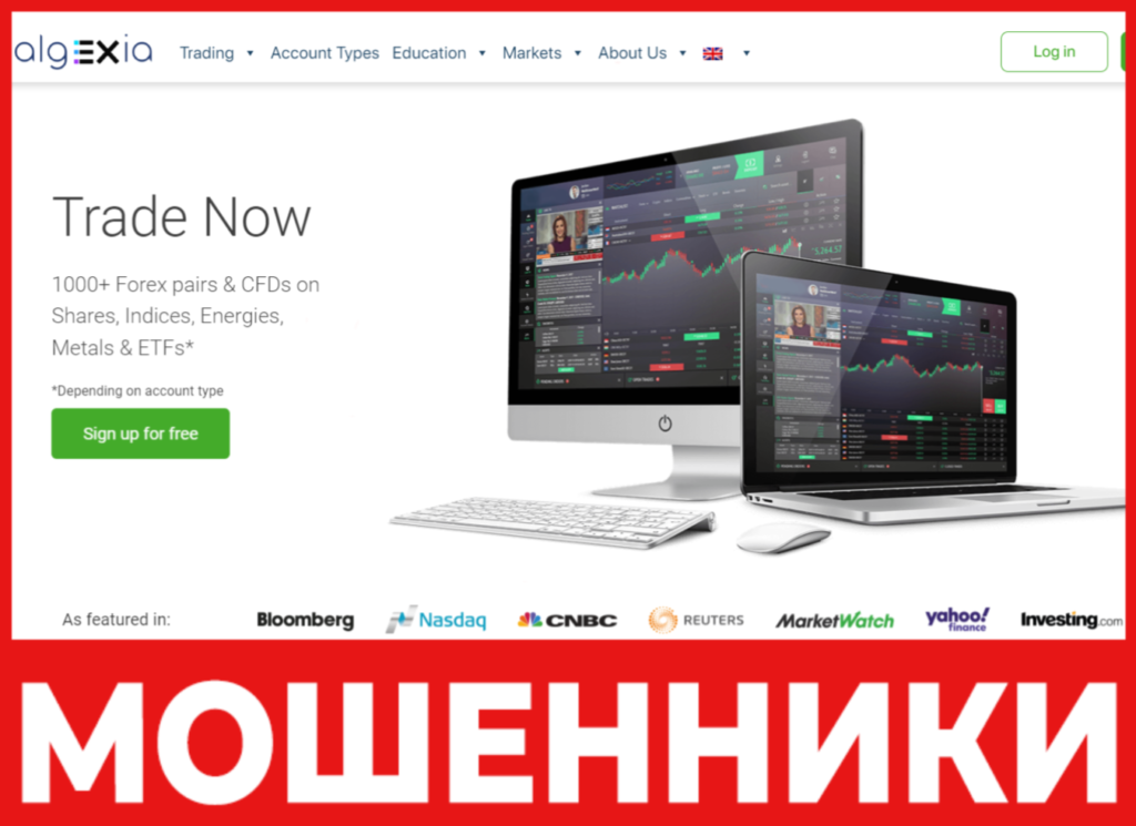 Algexia лицевая сторона скрин