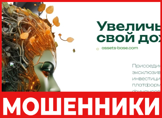 Assets Base лицевая сторона скрин