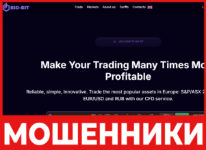 Bid-Bit лицевая сторона скрин