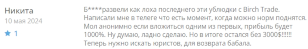 Birch Trade 1 скрин