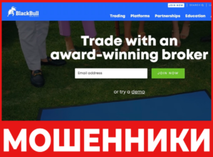 Black Bull Markets лицевая сторона скрин